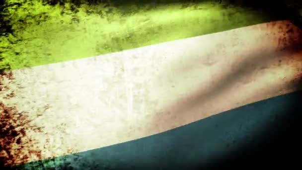 Sierra Leone Flagge schwenkend — Stockvideo