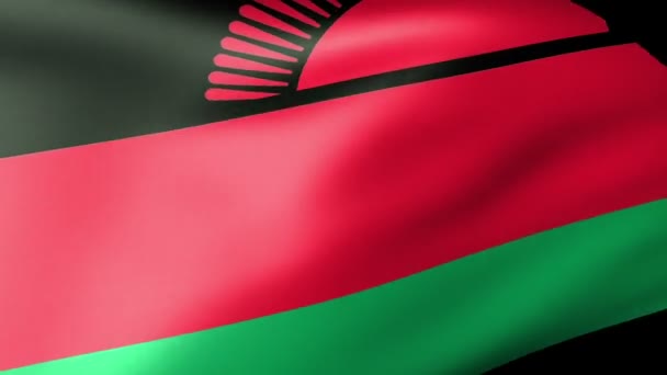 Malawi vlag zwaaien — Stockvideo