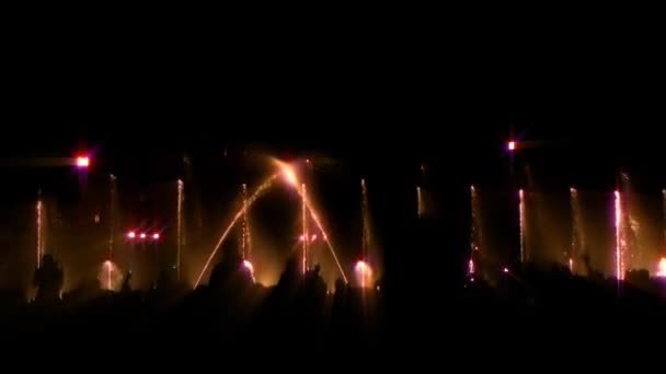 Spectacle aquatique avec public 