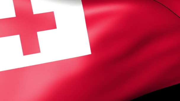 Tonga Bandera ondeando — Vídeo de stock