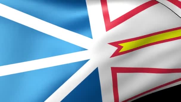 Newfoundland and Labrador flag waving — Stock Video