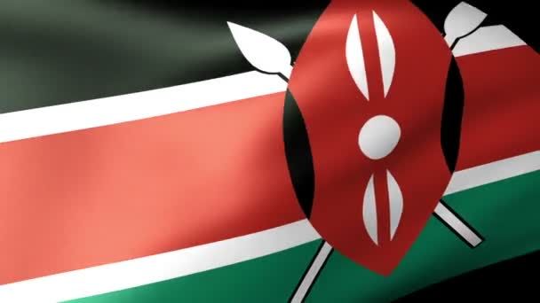 Kenya flag waving — Stock Video