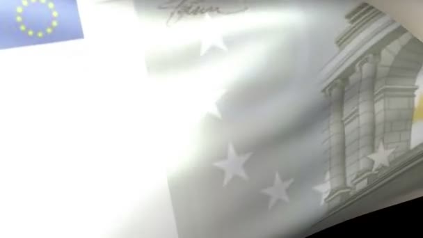 五欧元的国旗飘扬 — 图库视频影像