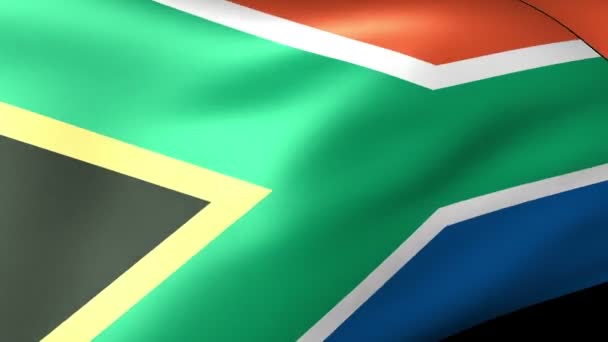 Sydafrikas flagga vinkar — Stockvideo