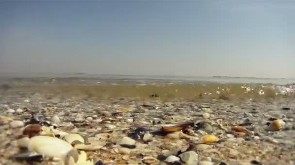 Vågorna krasch på havet stranden — Stockvideo