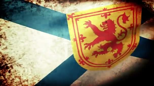 Nova Scotia Fahne schwenkend — Stockvideo