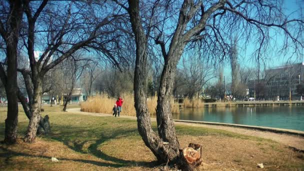 Madre y niño corriendo en el parque — Vídeo de stock