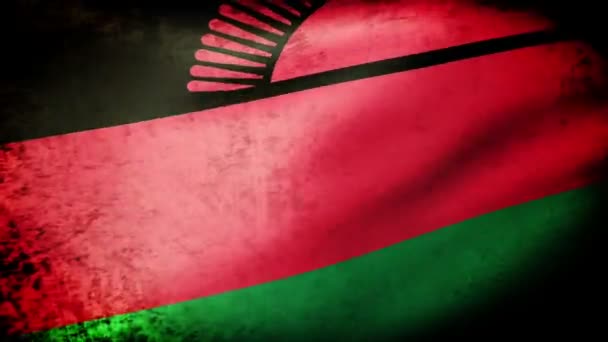 Bandeira do Malawi acenando — Vídeo de Stock