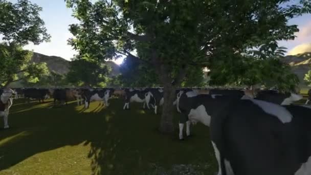 Vacas no prado verde — Vídeo de Stock