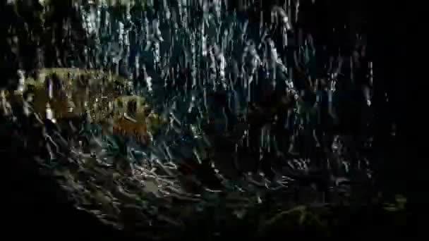 Gelembung dalam akuarium dengan ikan — Stok Video