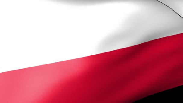波兰国旗飘扬 — 图库视频影像