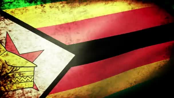 Bandeira do Zimbabué acenando — Vídeo de Stock