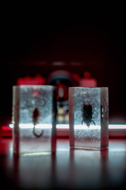 Karanlık bir odada eski bir kamera. Işıklı, fişekli ve plastik böcekli.