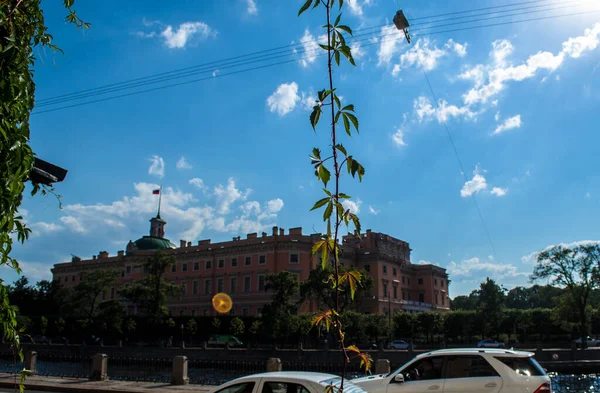 Arka planda yaprakları olan eski bir şato.