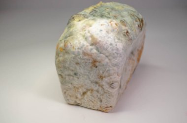 Küflü ekmek beyaz bir masada yatıyor.