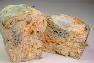 Küflü ekmek beyaz bir masada yatıyor.