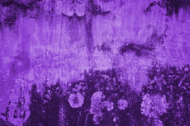 Proton mor beton duvarın yüzeyi