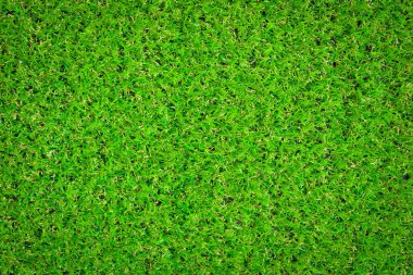 Yapay çim arkaplanı - Resim