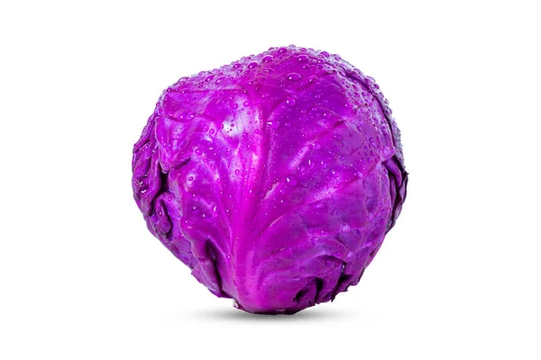 Red Cabbage Isolated Background Clipping Path — Stock Photo, Image