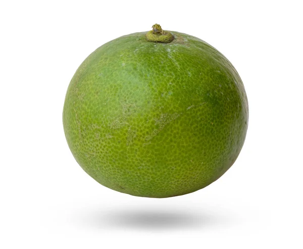 Lime Grøn Isoleret Hvid Baggrund - Stock-foto