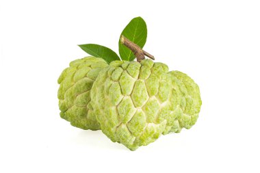 beyaz arkaplanda izole edilmiş taze muhallebi, kırpma yolu