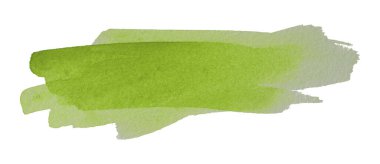 yeşil suluboya arka plan, sanatsal olarak elle çizilmiş. beyaz arkaplanda izole.