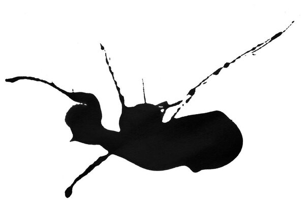 Черный всплеск акварели кисть изолированы на белом фоне