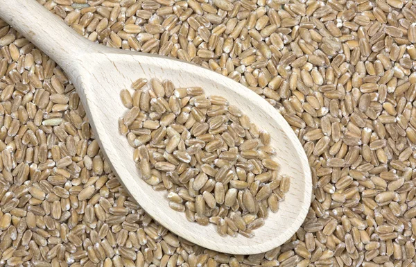 Spelt grains with spoon — Stock Photo, Image