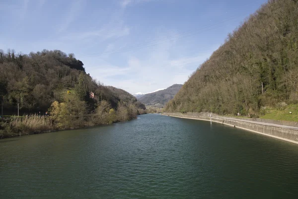 Beyaz üzerine kırmızı fasulye