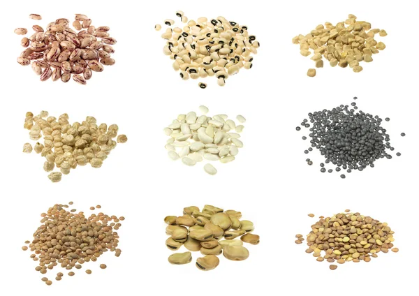 Beyaz baklagiller koleksiyonu