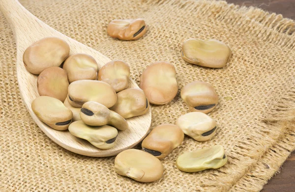 Bir tahta kaşık kuru bakla