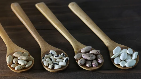 Koleksi kacang pada sendok — Stok Foto