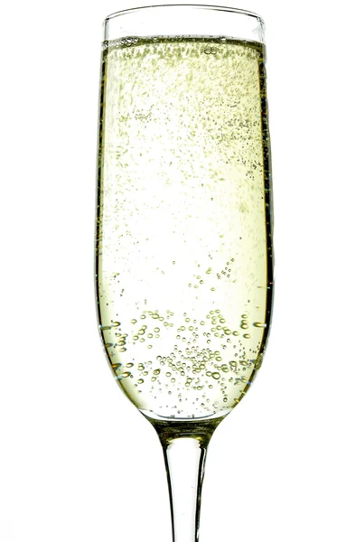 Champagne — Stock Photo, Image