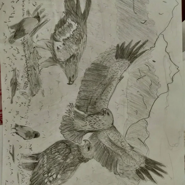 Bir Kuş Ailesinin Çizimi — Stok fotoğraf