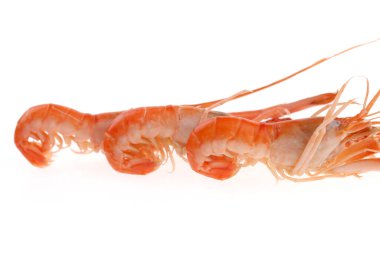 Beyaz bir grup üzerinde karides