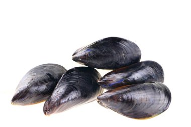 Beyaz arkaplanda midyeler