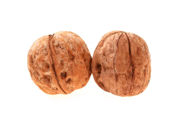 Walnuts White Background — Stock Photo, Image