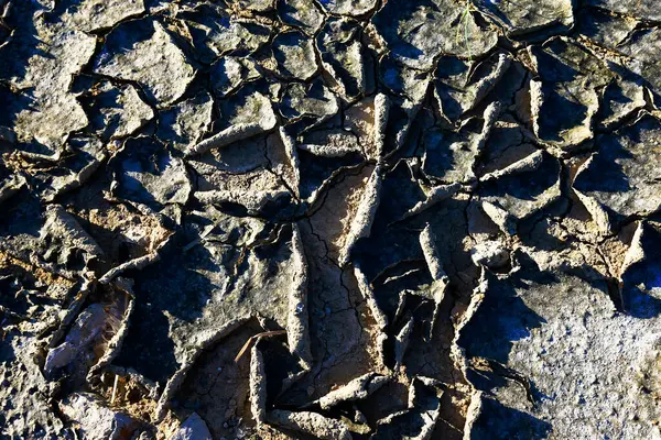 Climate Warming Dry Chapped Land — Stock Photo, Image