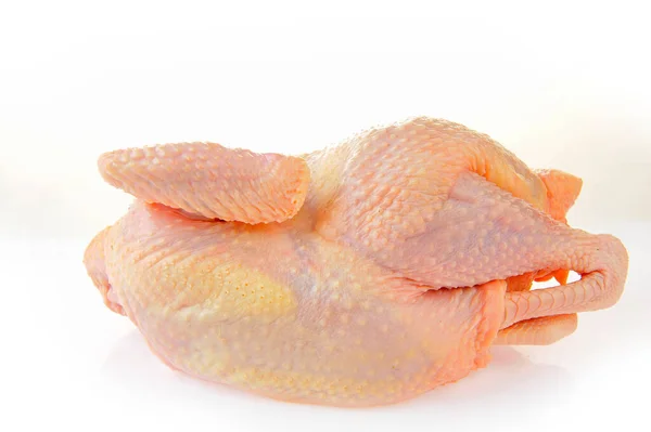 Ayam Diisolasi Pada Backgroun Putih — Stok Foto