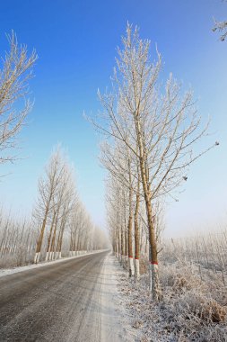 Kışın kar manzarası