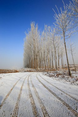 Kışın kar manzarası