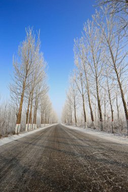 Kışın kar manzarası