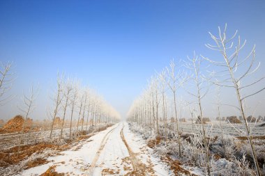Kışın kar manzarası