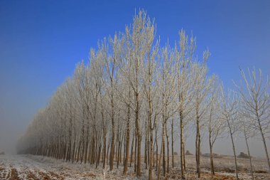 Kışın kar manzarası