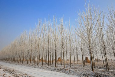 Kışın kar manzarası