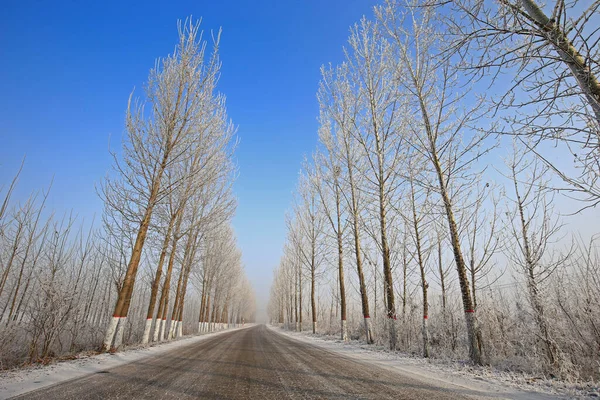 Kışın kar manzarası