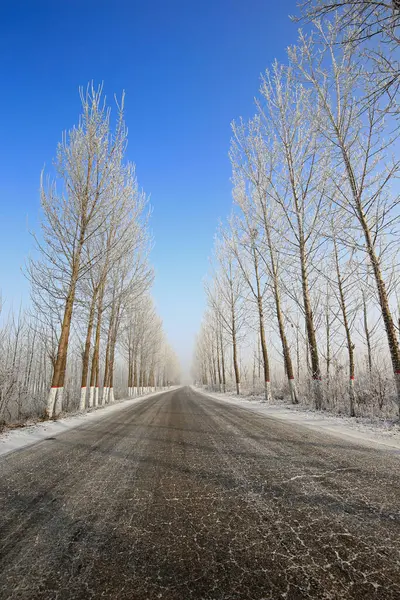 Kışın kar manzarası