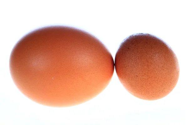 Ovos Fundo Branco Imagens Close — Fotografia de Stock
