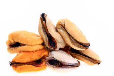 Beyaz arkaplanda midyeler