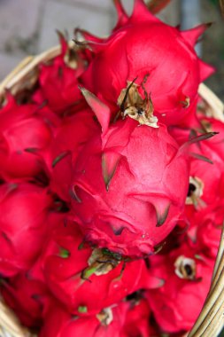 Ağaçta asılı ejderha meyvesi